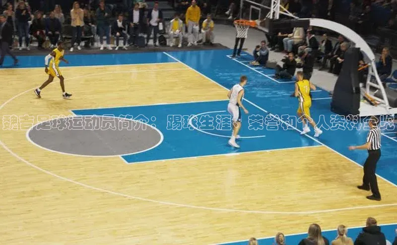 星欧平台登录入口汉得信息魏吉足球运动员简介：踢球生涯、荣誉和个人资料全览