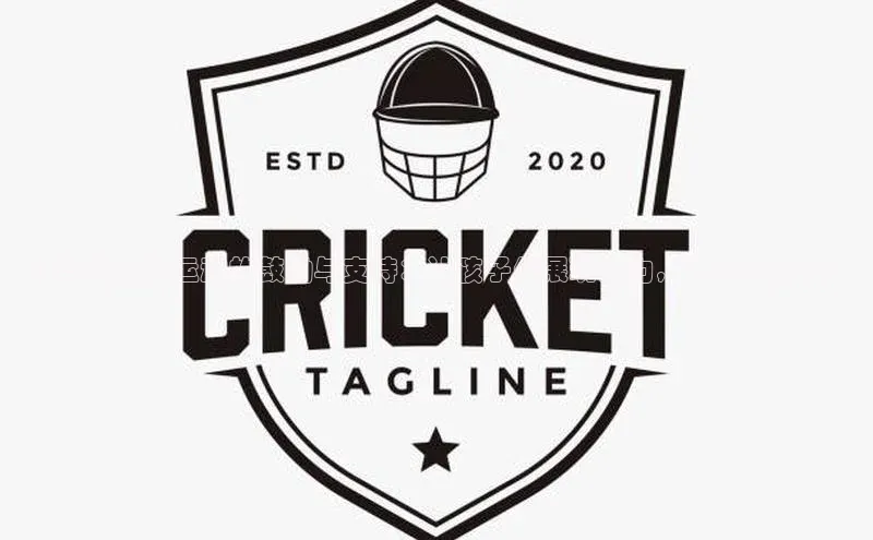 星欧会员平台登录入口壹网壹创小学生足球运动的鼓励与支持：让孩子们展现潜力，助力百度SEO