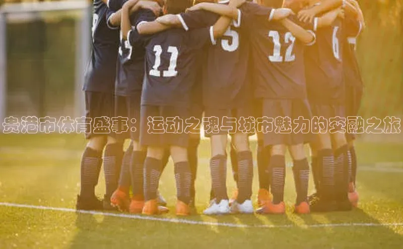 星欧娱乐百度手机助手贵港市体育盛事：运动之魂与城市魅力的交融之旅
