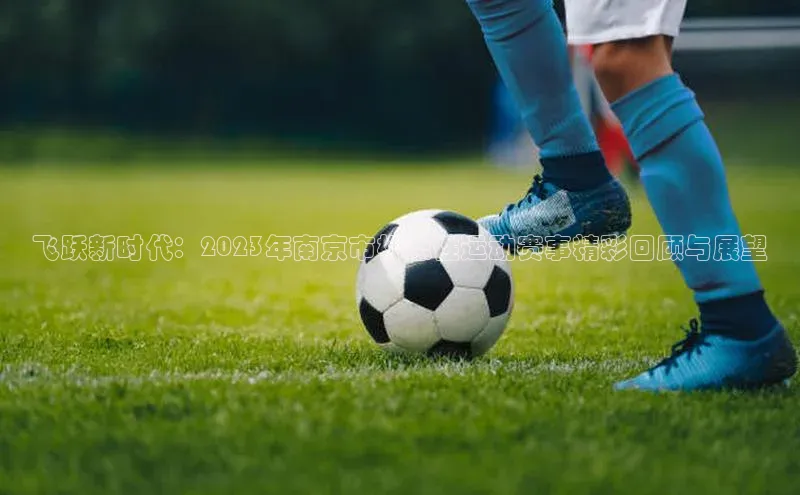 飞跃新时代：2023年南京市标志性运动赛事精彩回顾与展望