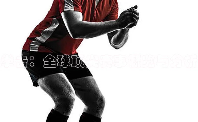 拳击：全球顶尖赛事概览与分析