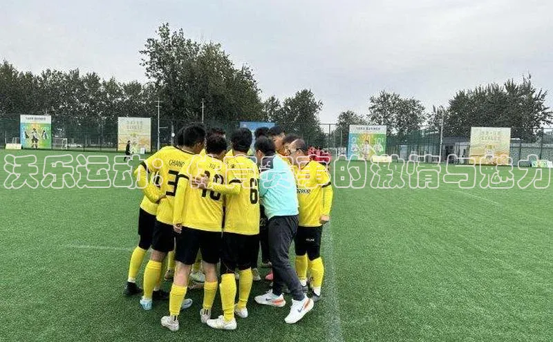 沃乐运动：体育赛事的激情与魅力