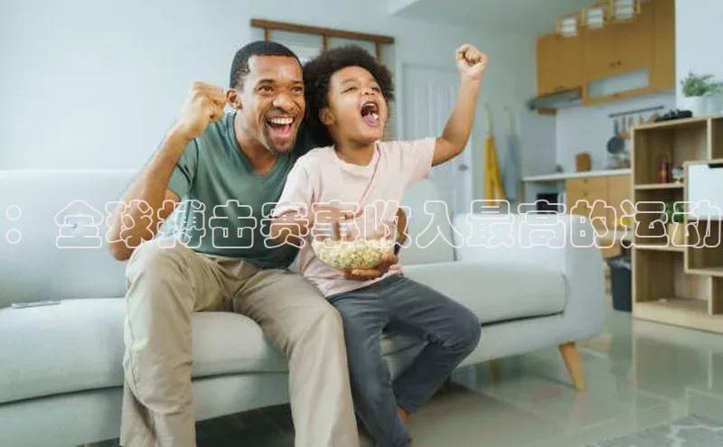 ：全球搏击赛事收入最高的运动