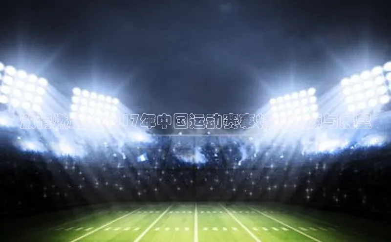 激情燃起：2017年中国运动赛事精彩回顾与展望