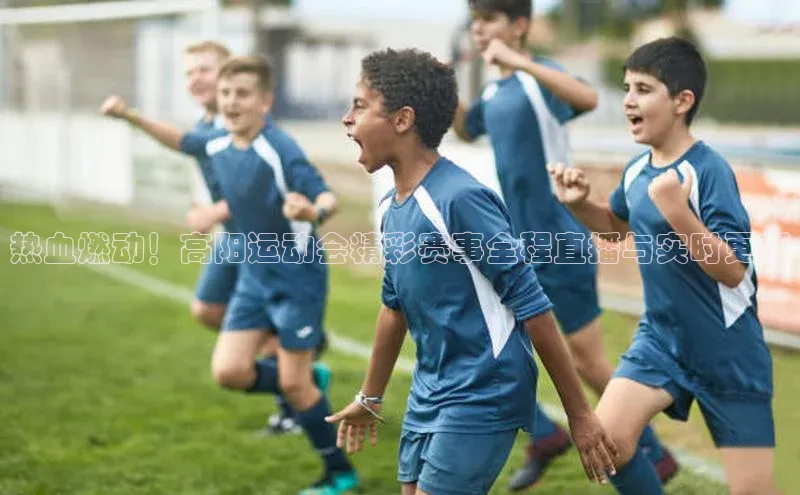 热血燃动！高阳运动会精彩赛事全程直播与实时更新