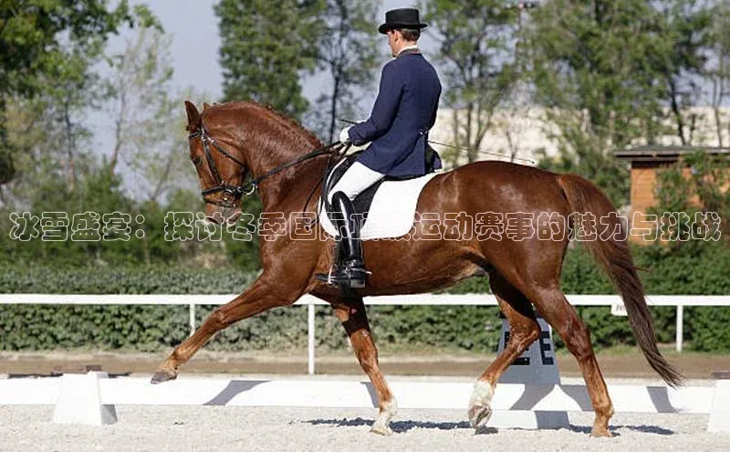 冰雪盛宴：探讨冬季国际顶级运动赛事的魅力与挑战