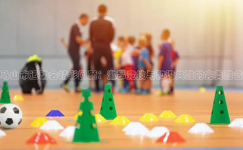 马山市运动会精彩回顾：激昂竞技与和谐共融的完美融合
