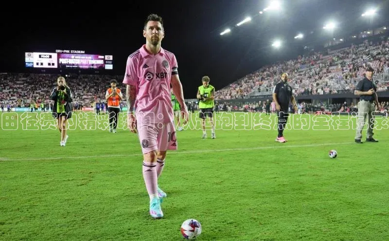 星欧网页登录入口