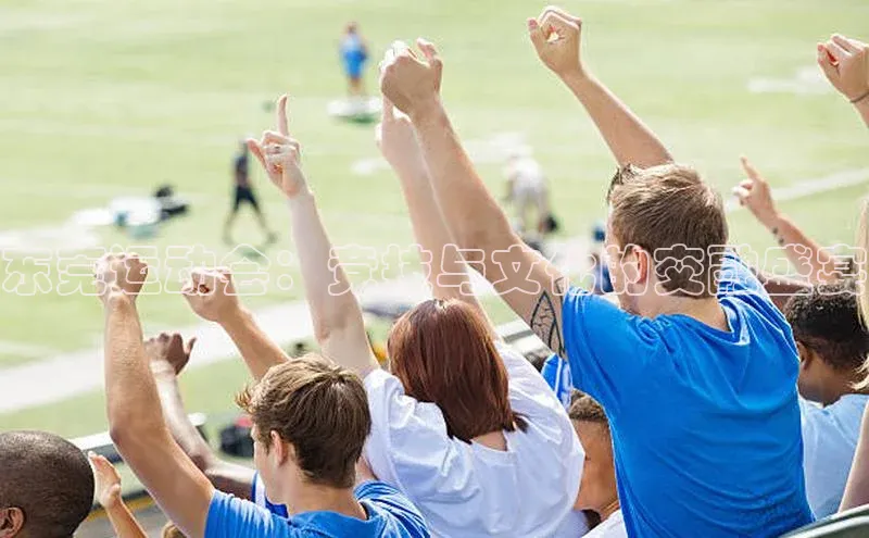 东莞运动会：竞技与文化的交融盛宴